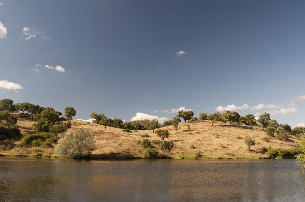 Отель Herdade Da Paz Com Piscina E Barragem Em Reserva Ecologica Silveiras Экстерьер фото